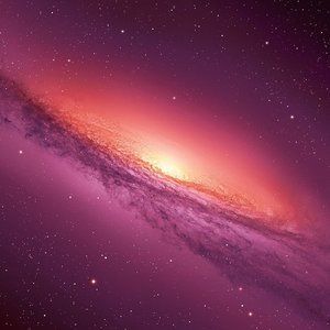 Meet your Posher, Daisy